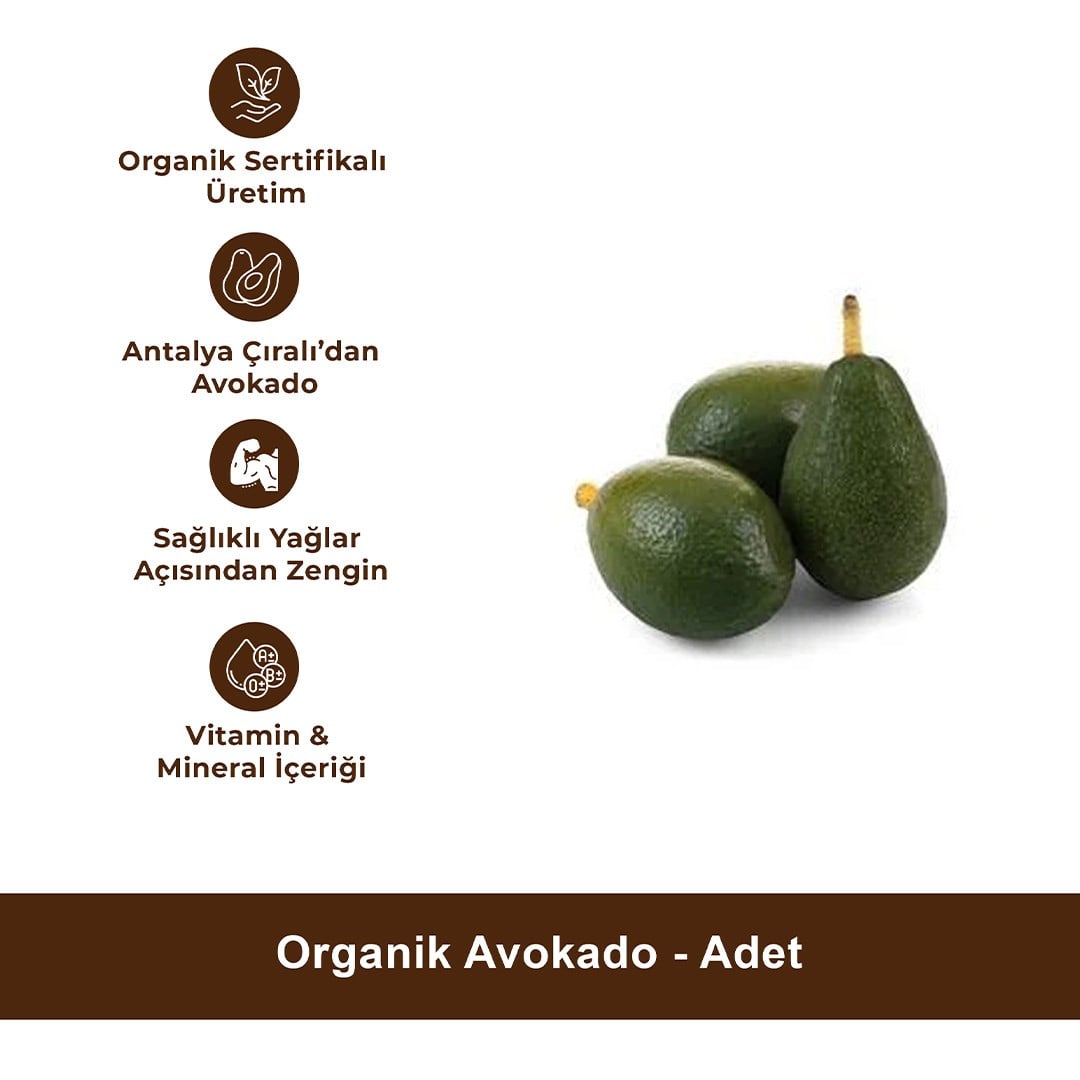 Organik Avokado - Adet