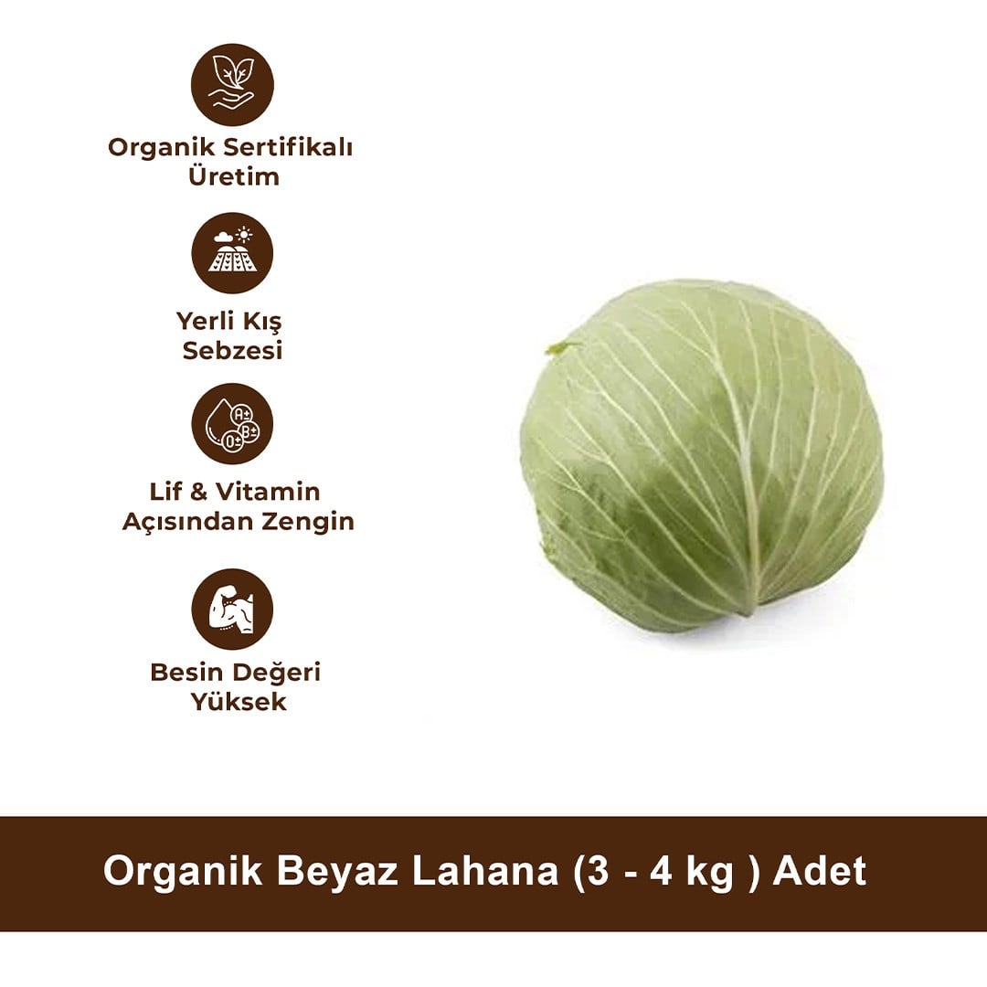 Organik Beyaz Lahana (3 - 4 kg ) Adet