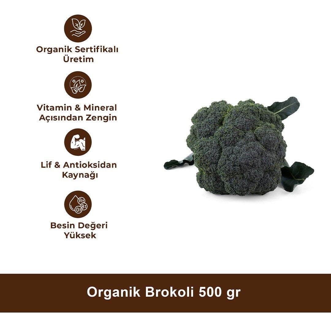 Organik Brokoli 500 gr