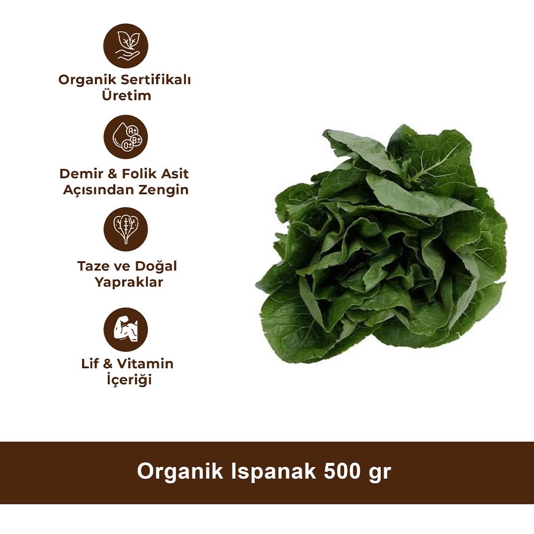 Organik Ispanak 500 gr