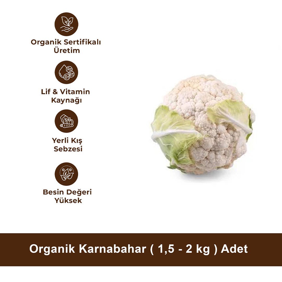 Organik Karnabahar ( 1,5 - 2 kg ) Adet