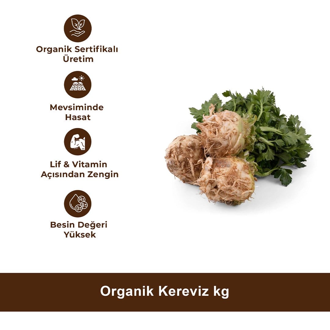 Organik Kereviz kg