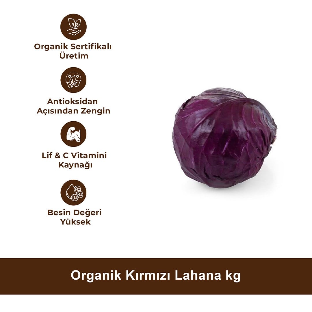 Organik Kırmızı Lahana kg