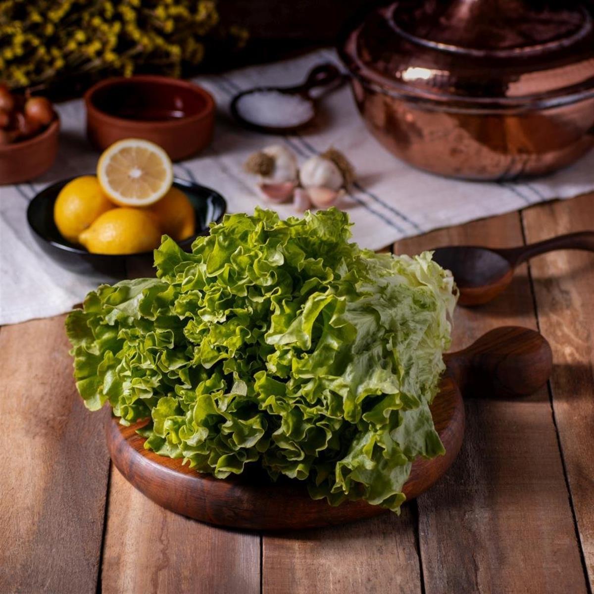 Kıvırcık marul fiyatı