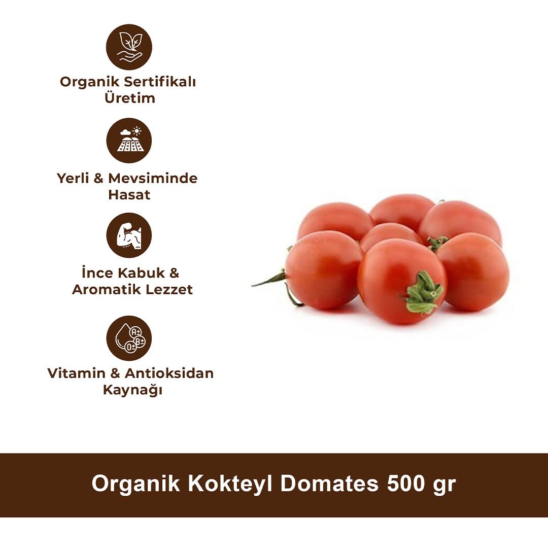 Organik Kokteyl Domates 500 gr