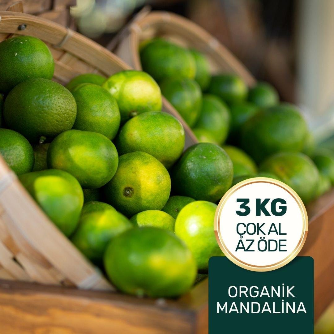 Organik Mandalina Paketi 3 Kg