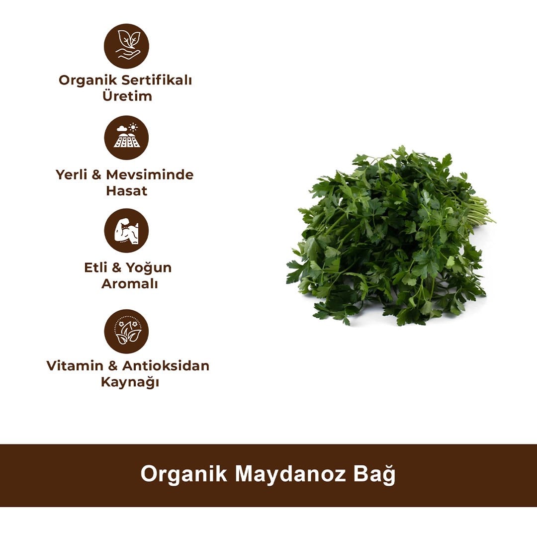Organik Maydanoz Bağ
