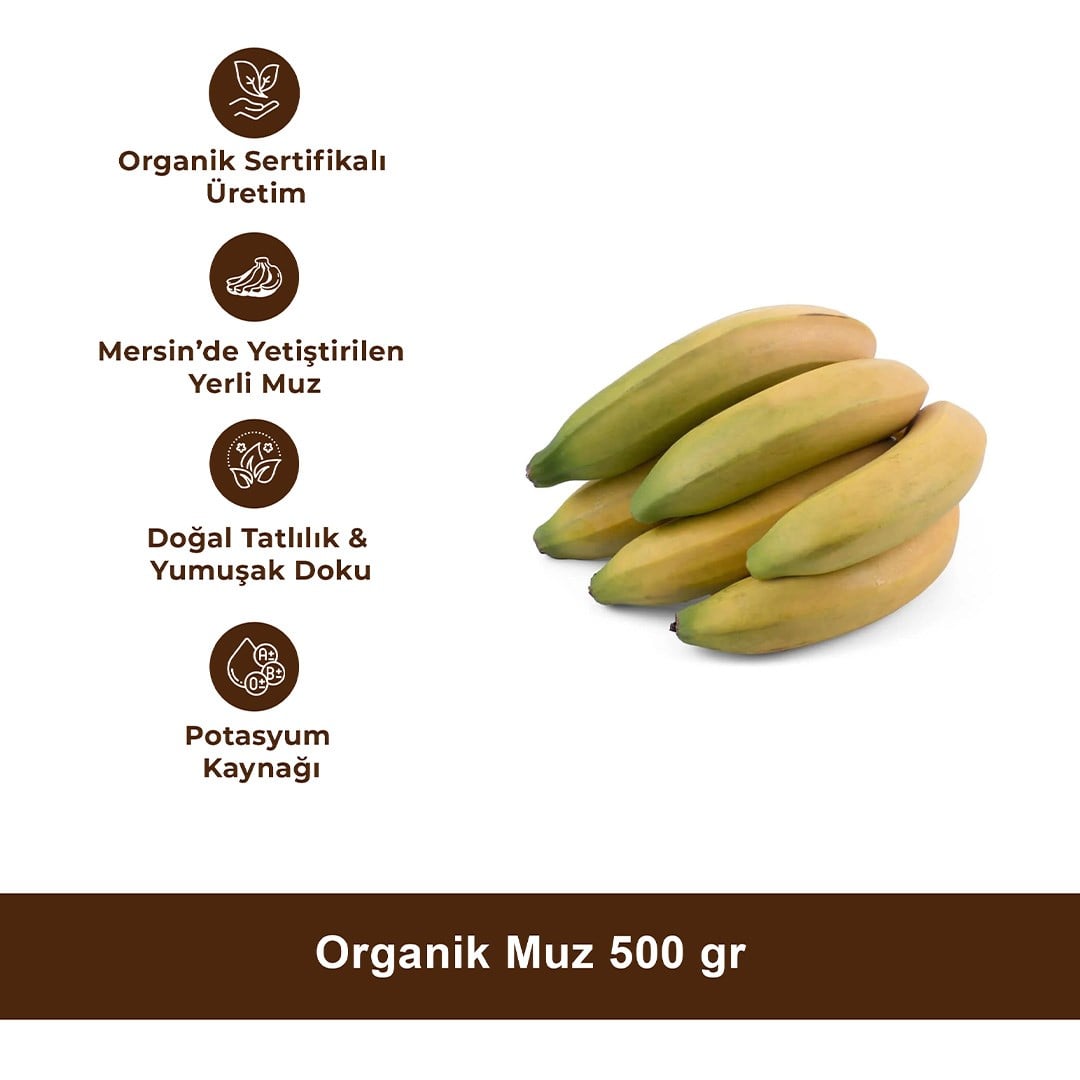 Organik Muz 500 gr