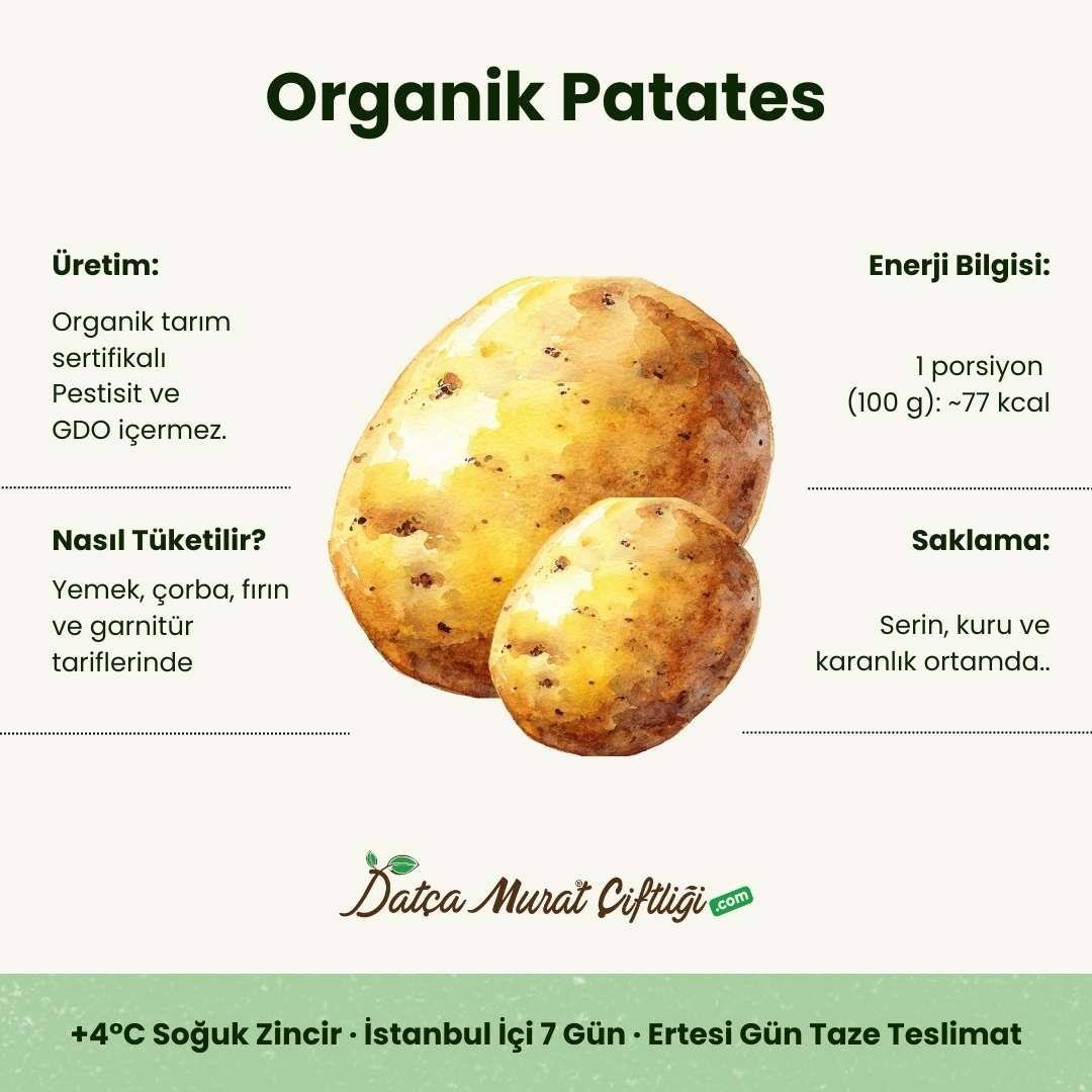 Organik Patates kg