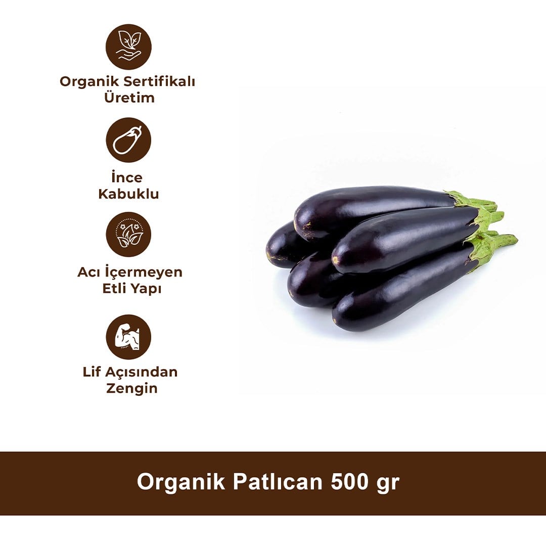 Organik Patlıcan 500 gr