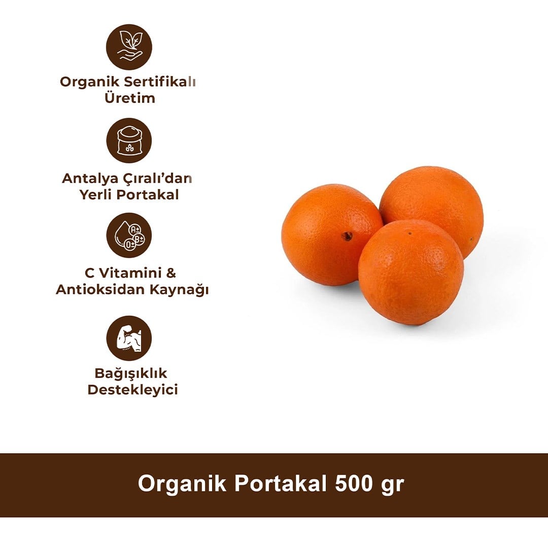Organik Portakal 500 gr