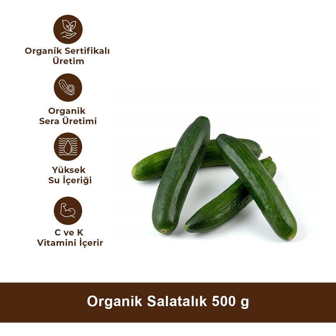 Organik Salatalık fiyatı