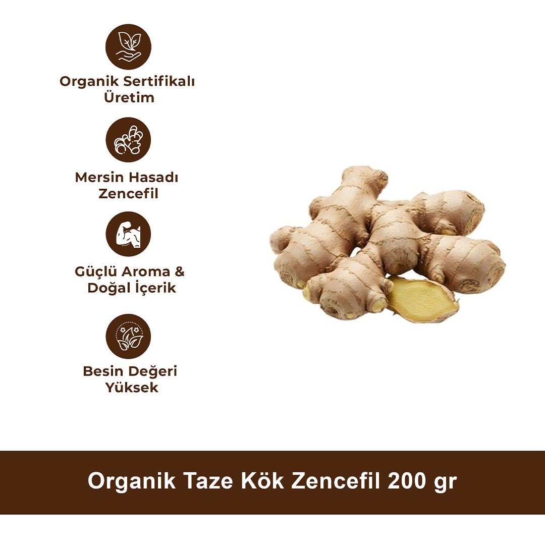 Organik Taze Kök Zencefil  200 gr