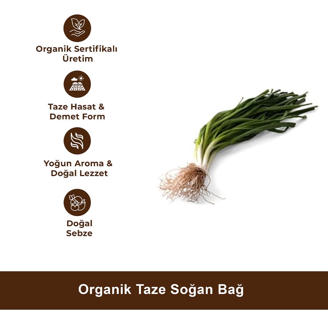 Organik Taze Soğan Bağ