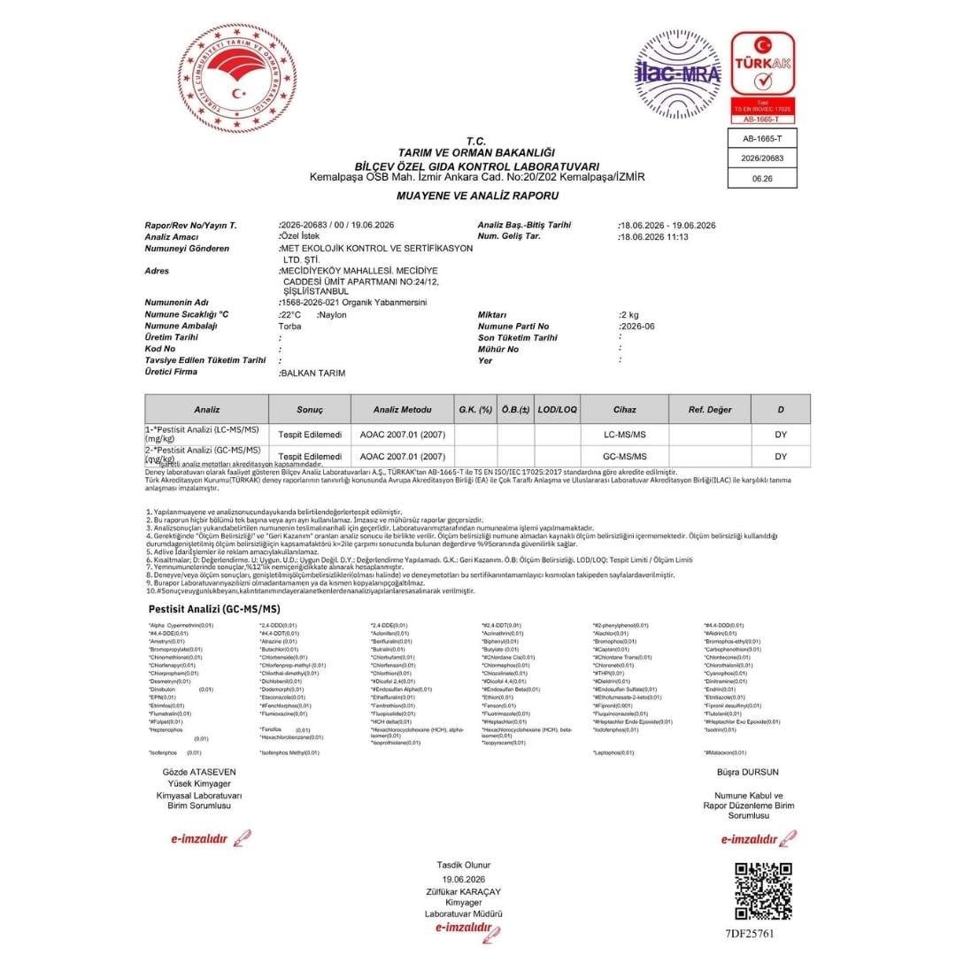 Organik Yaban Mersini 125 gr (8 'li Paket )