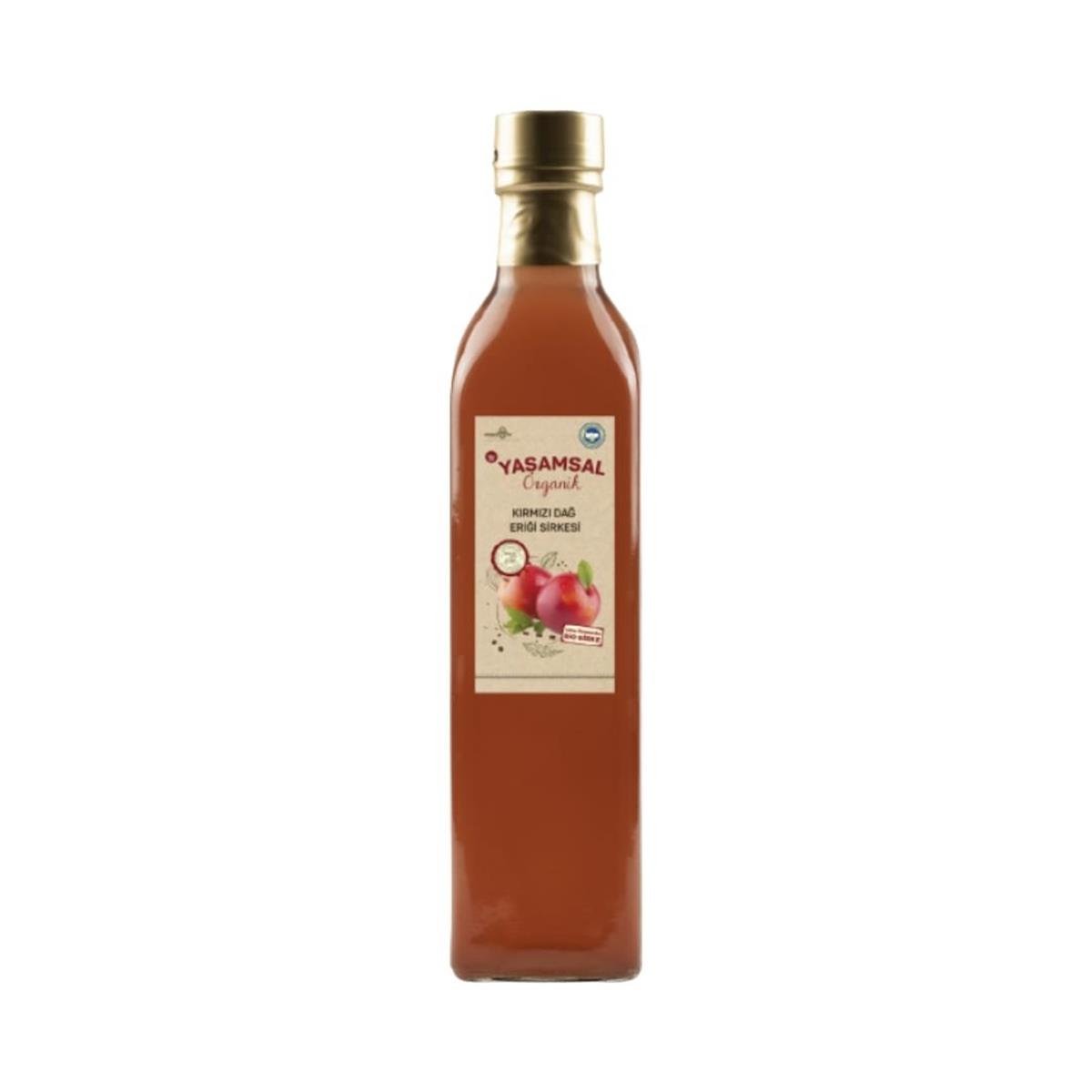 Yaşamsal Organik - Organik Kırmızı Dağ Eriği Sirkesi 500 ml