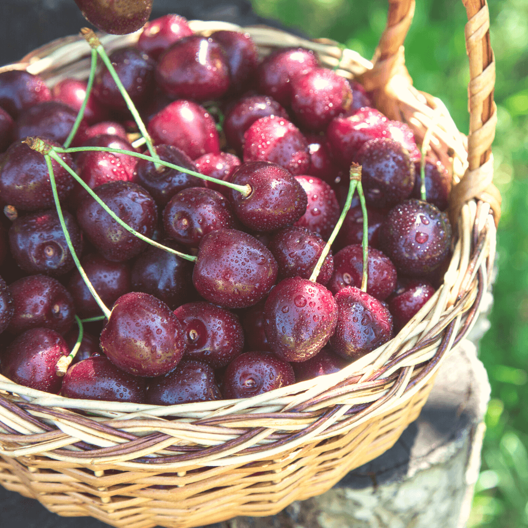 Yerli Kiraz 500 Gr