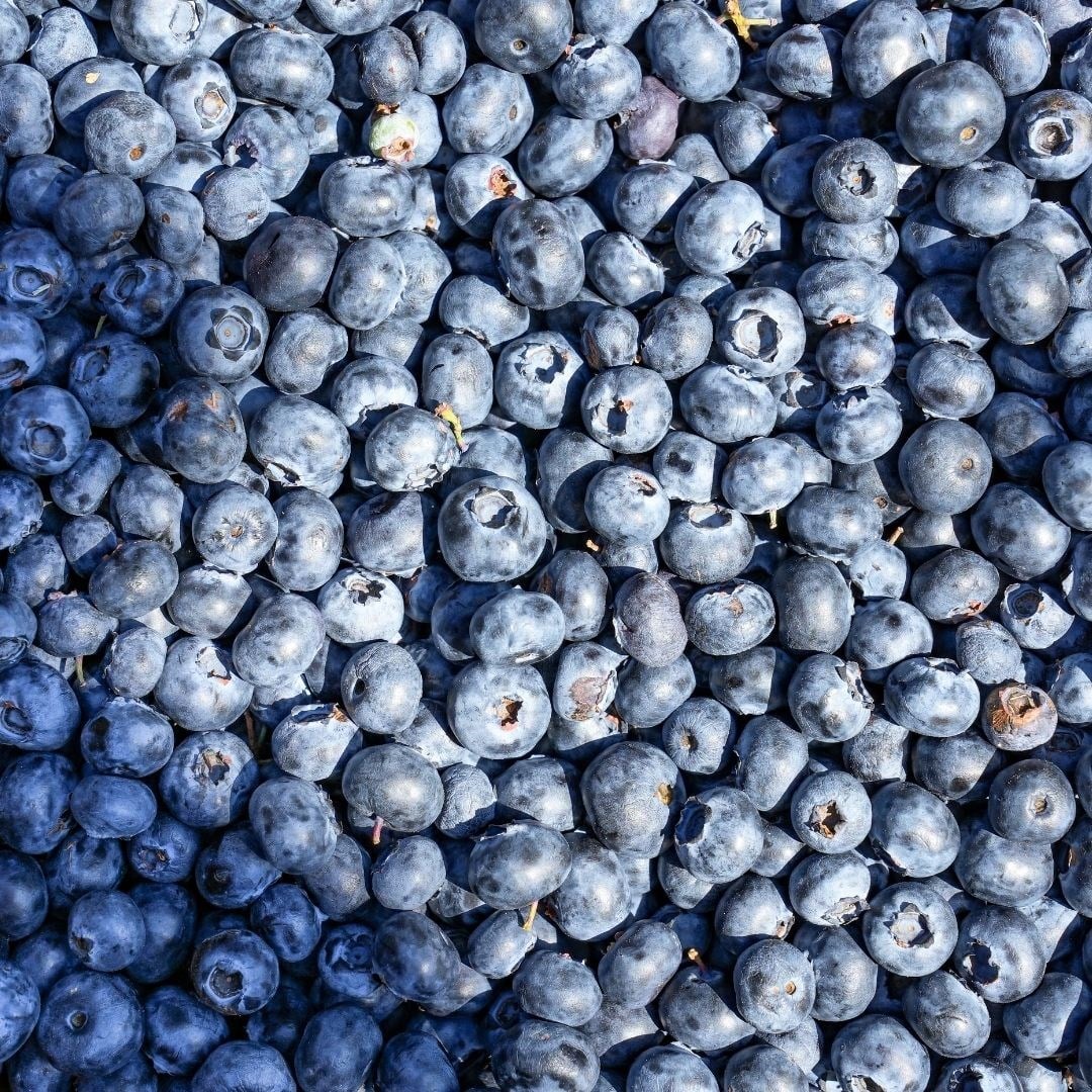 Yerli Yaban Mersini 125 gr ( 3 'lü Paket )
