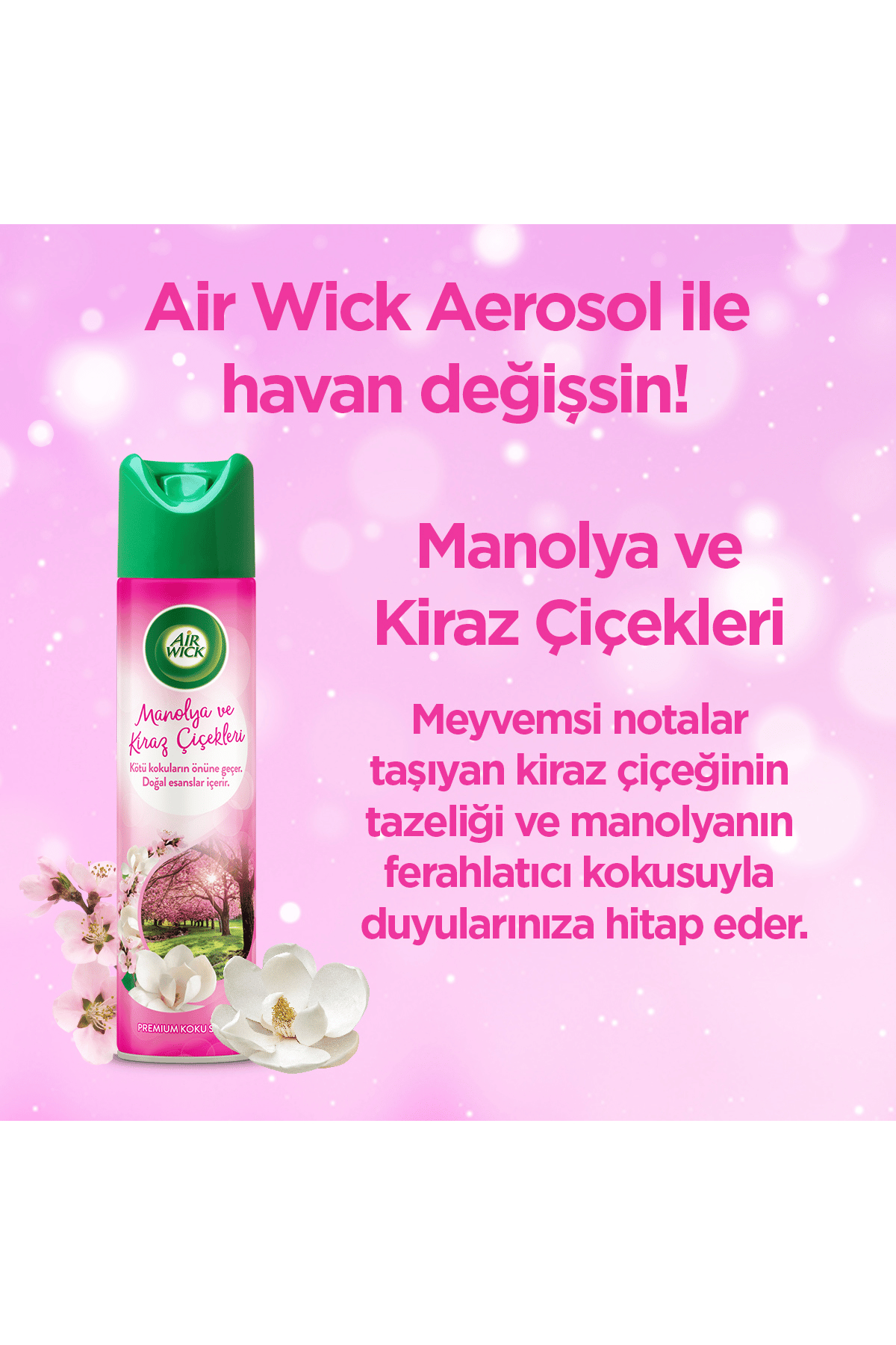 Air Wick Aerosol Manolya ve Kiraz Çiçeği 300 ml