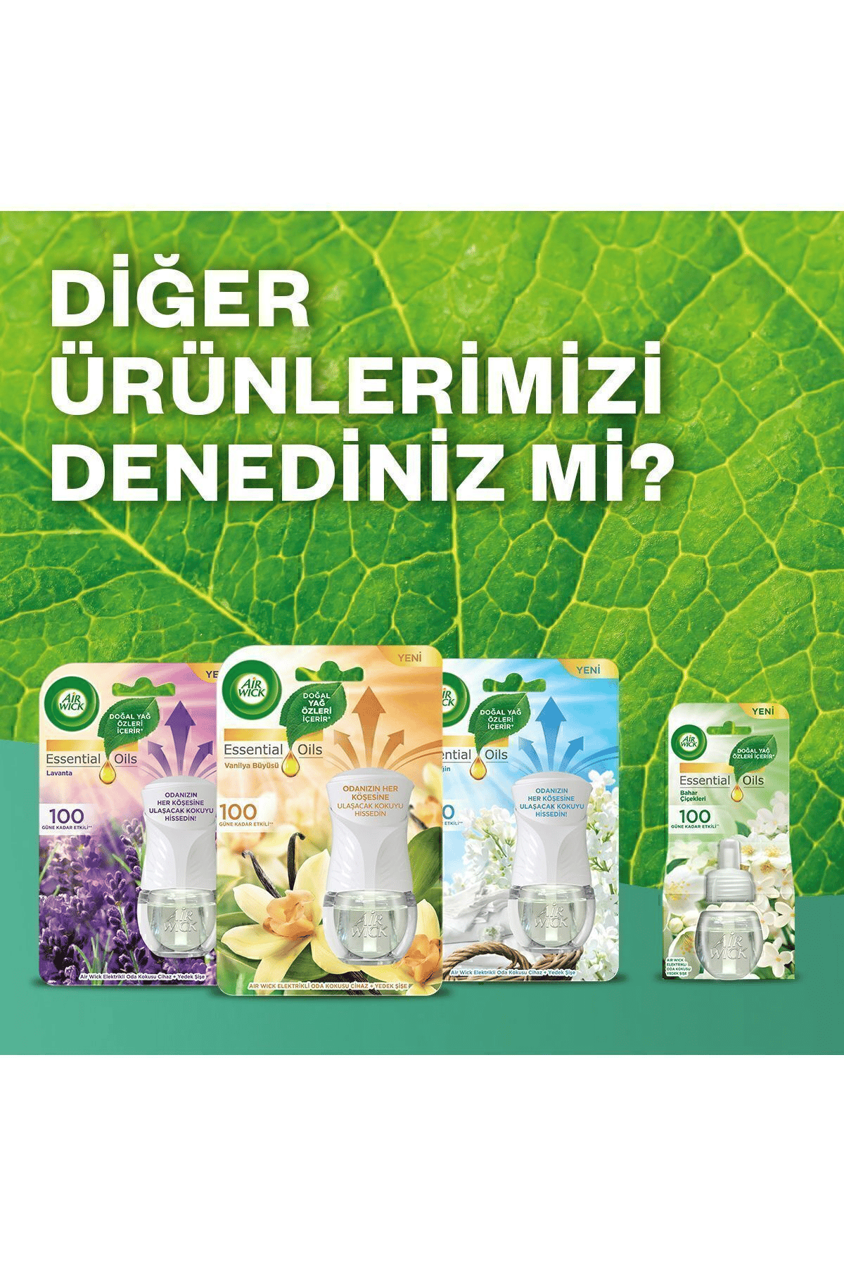 Air Wick Elektrikli Oda Kokusu Yedek Şişe Temizliğin Esintisi x3 Adet