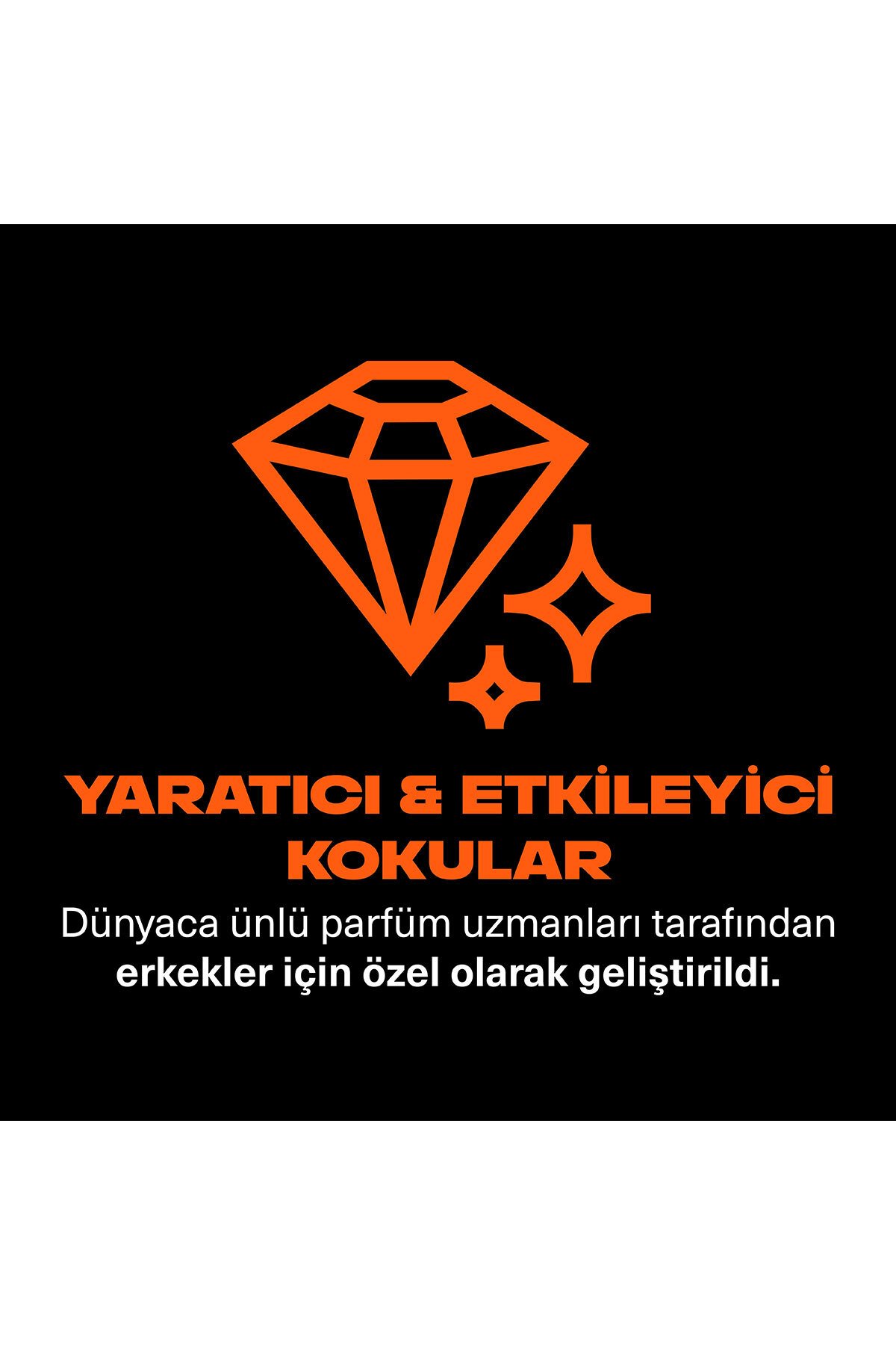 Axe Premium Collection Duş Jeli Copper Santal 3 In 1 Vücut Saç Yüz 300 ml X2