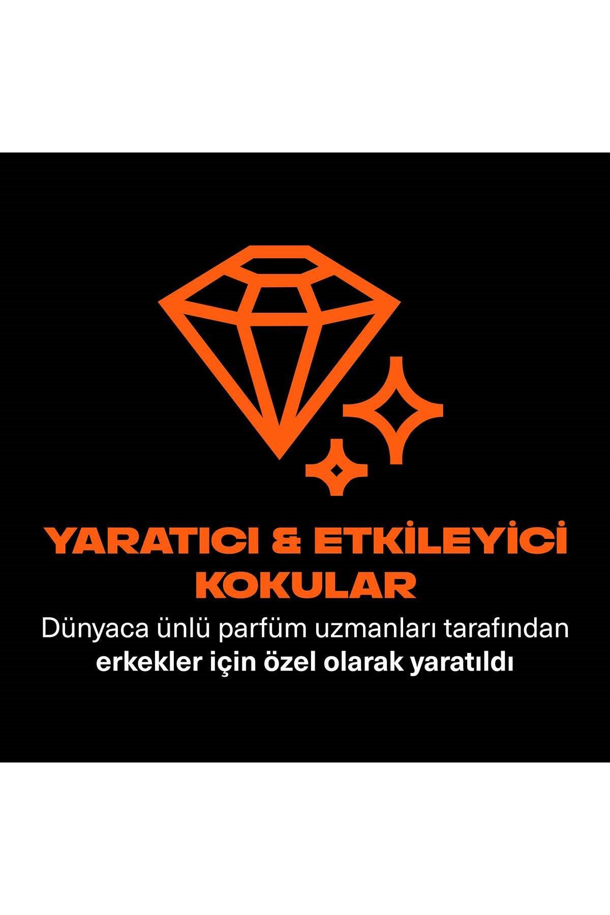 Axe Premium Collection Duş Jeli Copper Santal 3 In 1 Vücut Saç Yüz 300 ml X3
