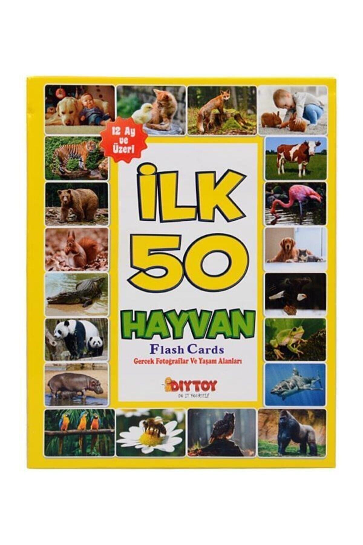 Eğitim Seti 4'lü Ilk 50 Sözcük, Meyveler, Hayvanlar ve Bebeğimin Zeka Kartları