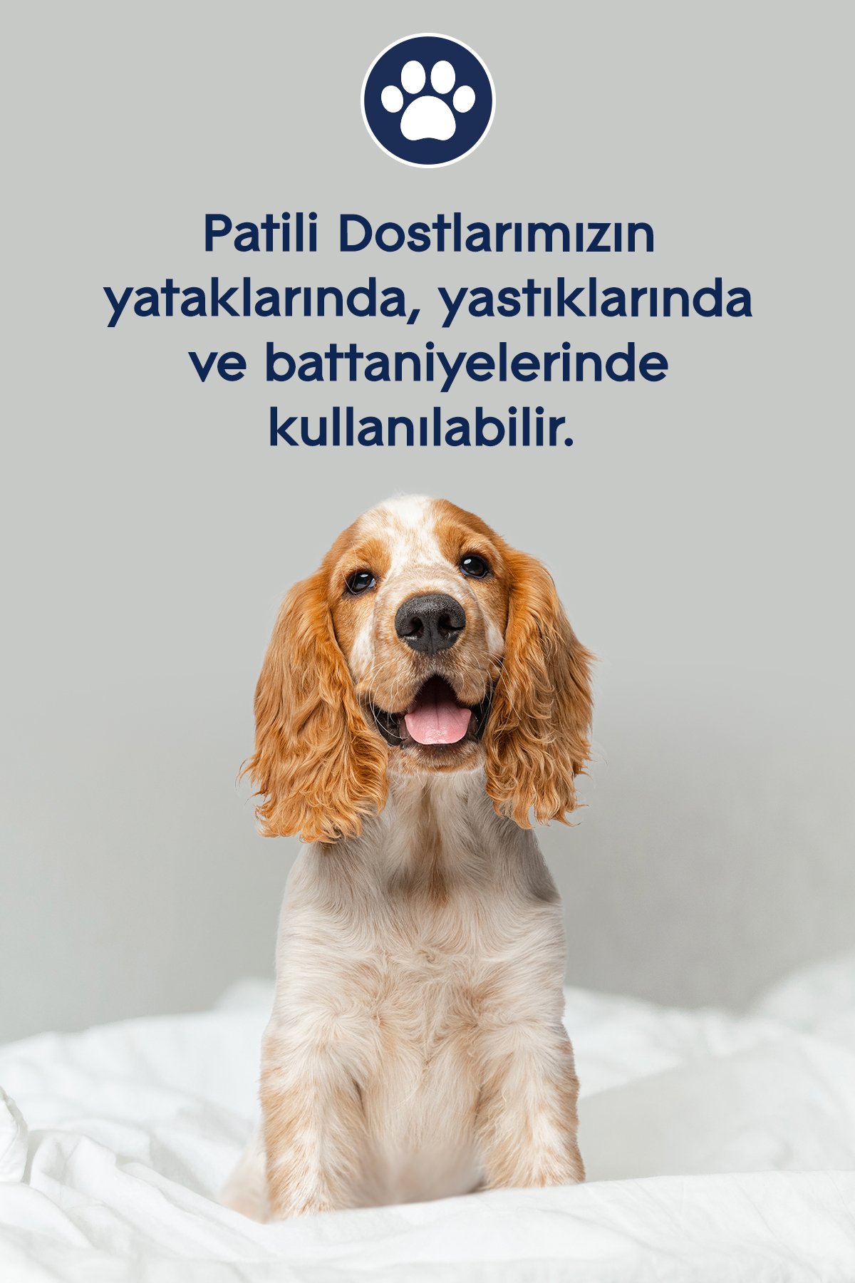 Glade Multi Sprey Gül Bahçesi 500 ml Oda Kokusu