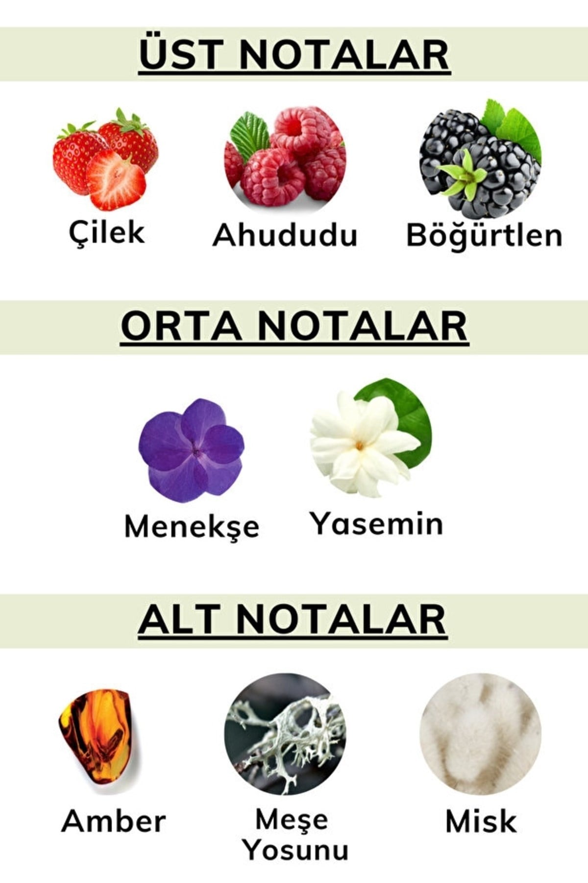 JARDIN D'OR Des Bonbons 50 Ml Edp Kadın Parfüm