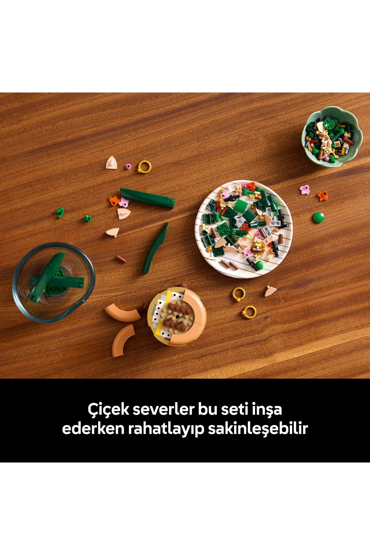 LEGO Botanicals Mini Orkide 10343