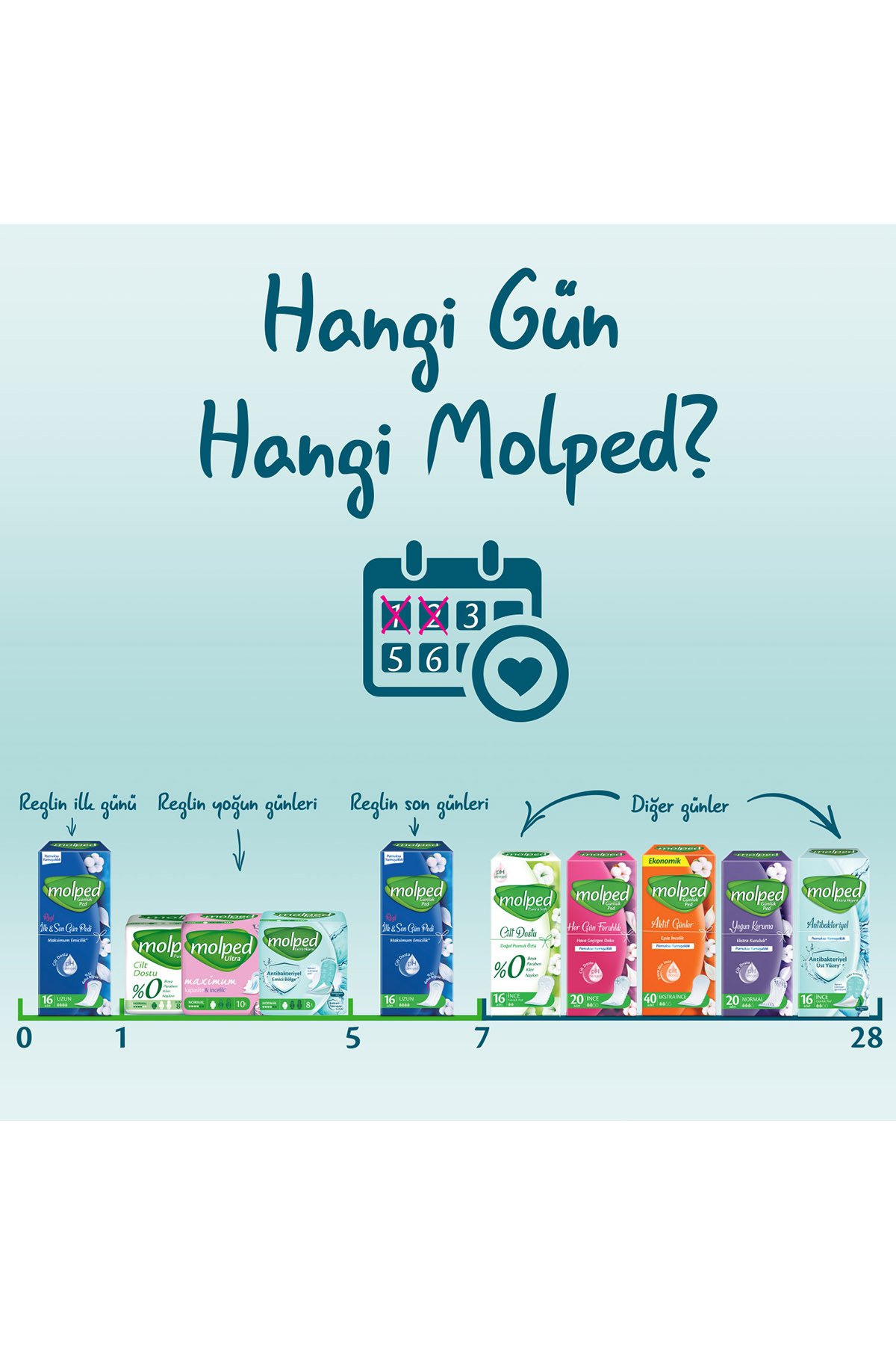Molped Antibakteriyel Hijyen Günlük Ped 28'li x4 adet