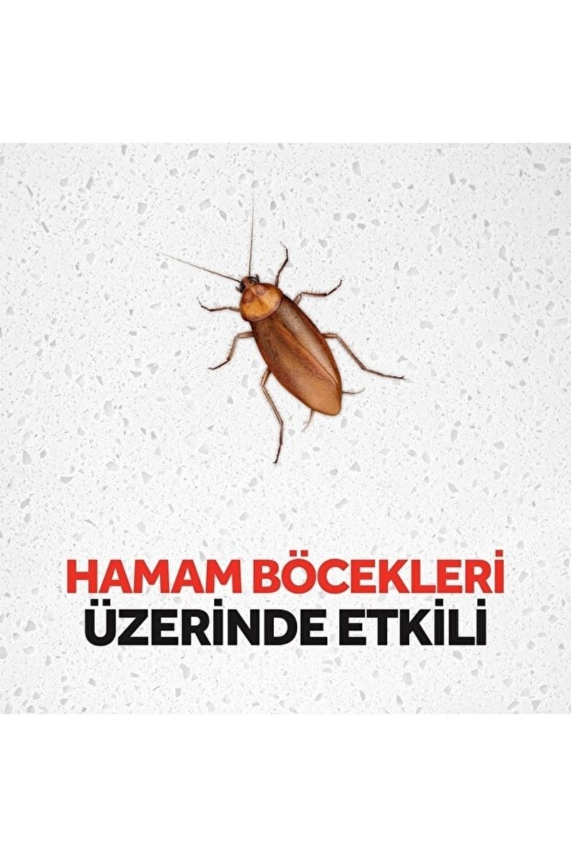 Raid Hamam Böceği Yemi 6'lı