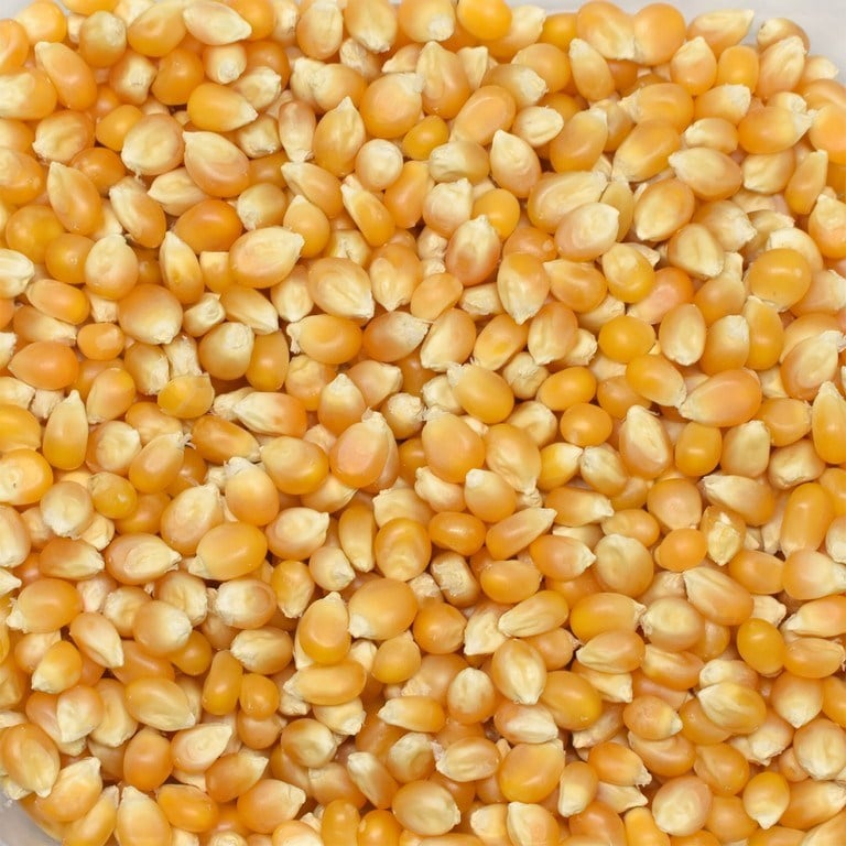 Başhan Patlayan Mısır 1000 G