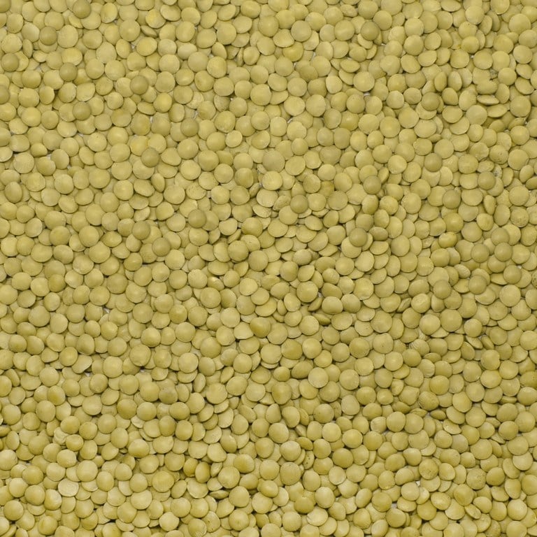 Başhan Yeşil Mercimek 1000 G
