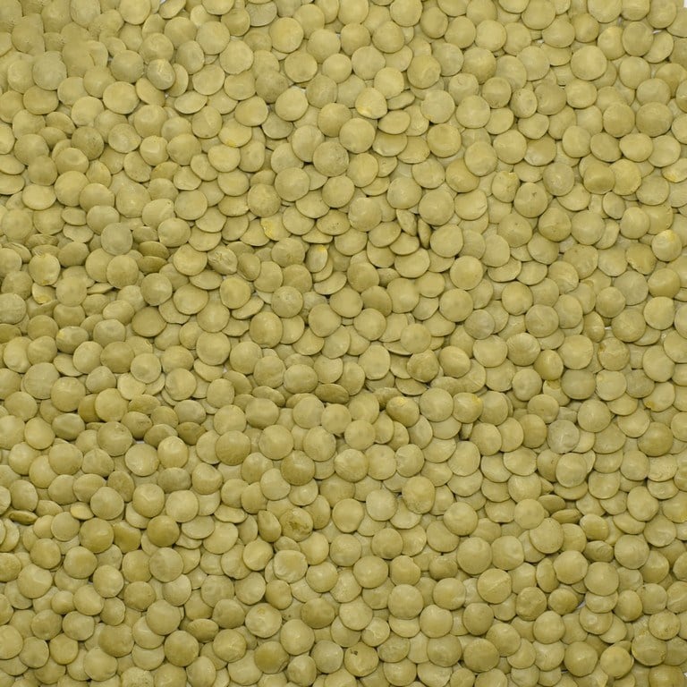 Başhan Yeşil Mercimek 1000 G
