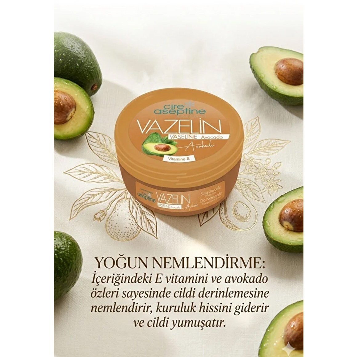 Cire Aseptine Vazelin 6'lı Bakım Seti – Aloe Vera, Zeytinyağı, Classic, Rose, Pure, Avocado