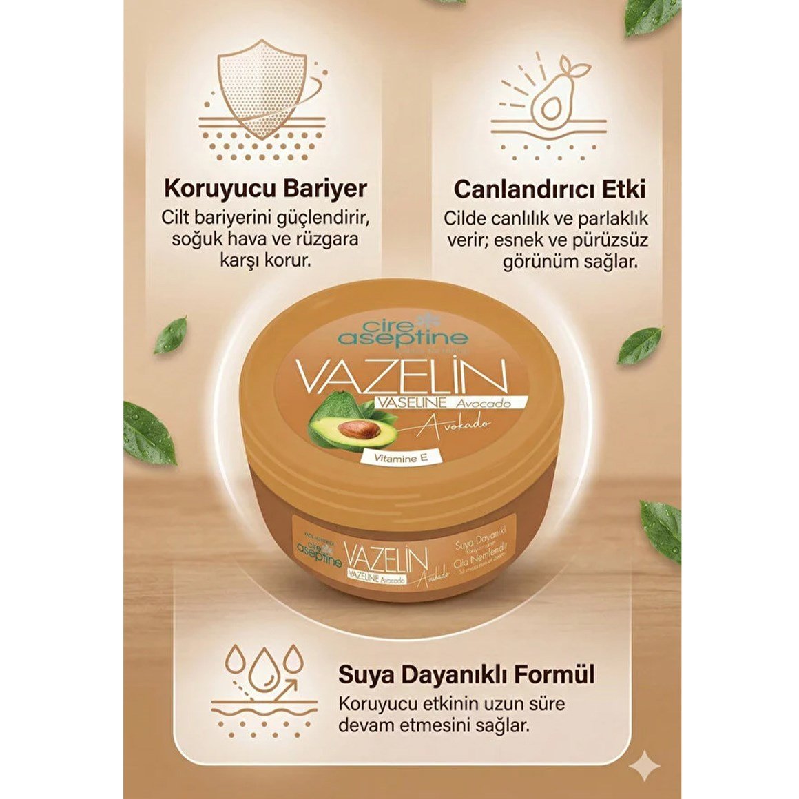 Cire Aseptine Vazelin 6'lı Bakım Seti – Aloe Vera, Zeytinyağı, Classic, Rose, Pure, Avocado