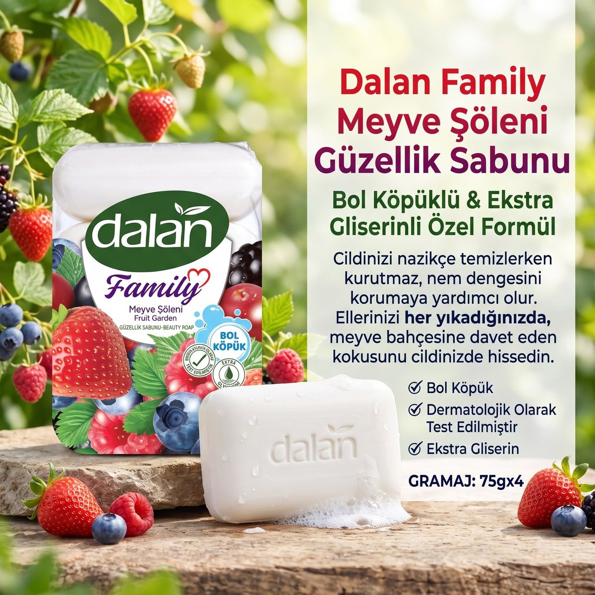 Dalan Family Meyve Şöleni Sabun 75 gr × 4 Adet – 24 Paket 1 Koli