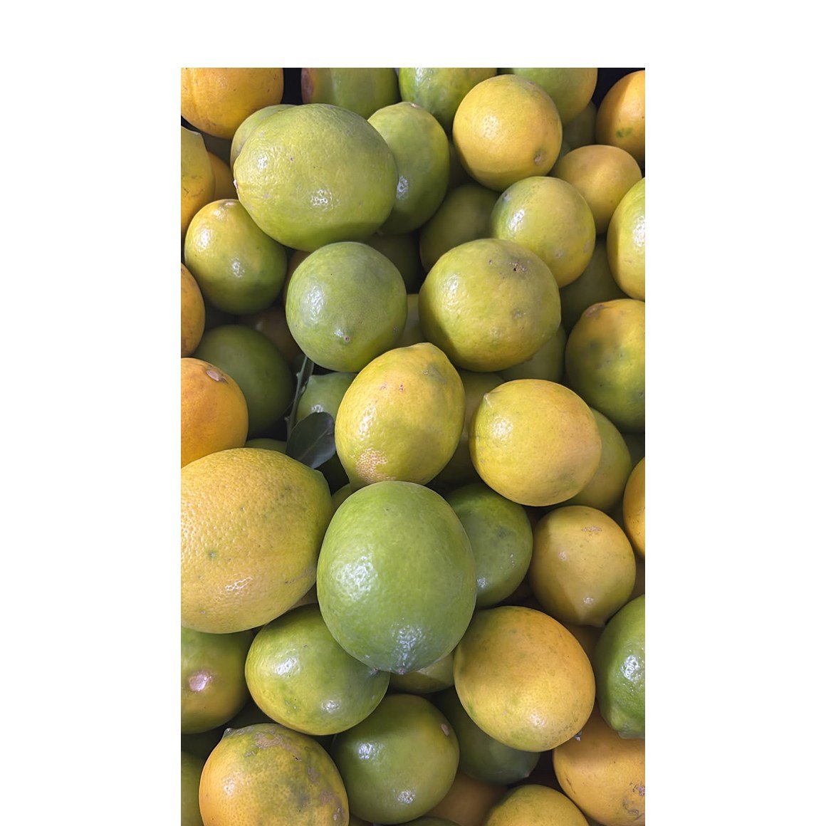 Dalından Taze Limon 1 KG