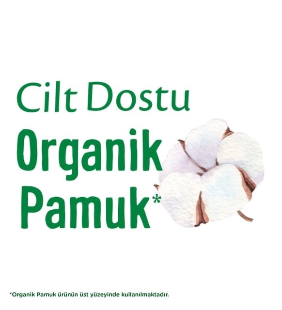 Molped Pure Soft Normal Eko 24'lü