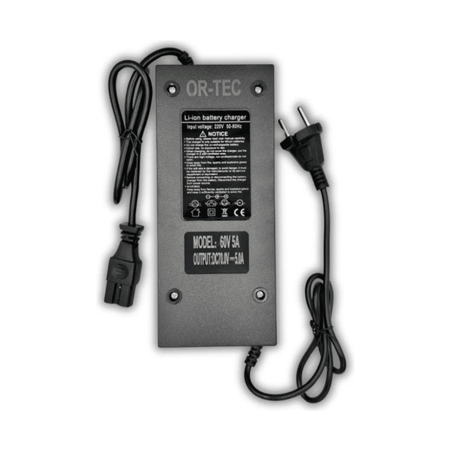 60 Volt 5A LiFePO4 Lityum Şarj Aleti
