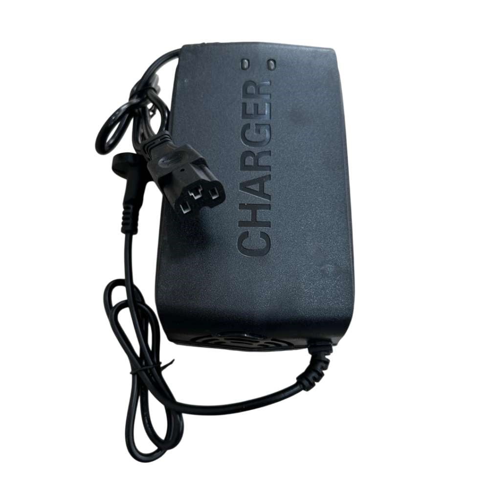 72 Volt 3A LiFePO4 Şarj Aleti