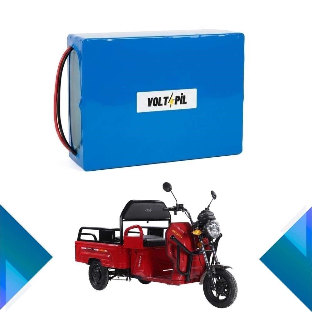 Arora MİNİ CARGO Lityum LiFePO4 Batarya