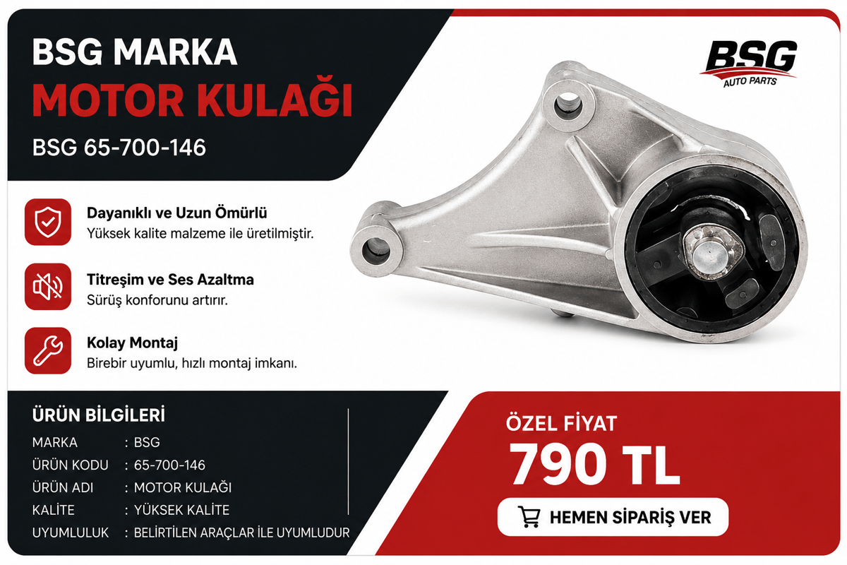 BSGBSG MARKA MOTOR KULAĞIBSG 65-700-146 / 24459803