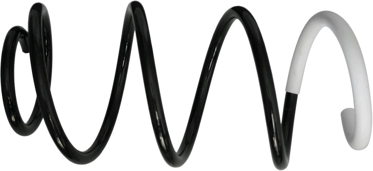 SACHSCoıl SprıngSACHS 991173