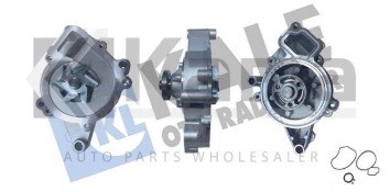 KALEDEVİRDAİM SU POMPASU Z22YH Z20NET A20FT A20NHT6334002