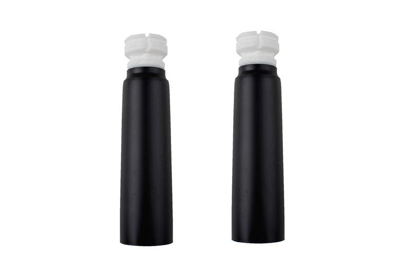 GVAKarl H B1pkBILSTEIN 11-305842