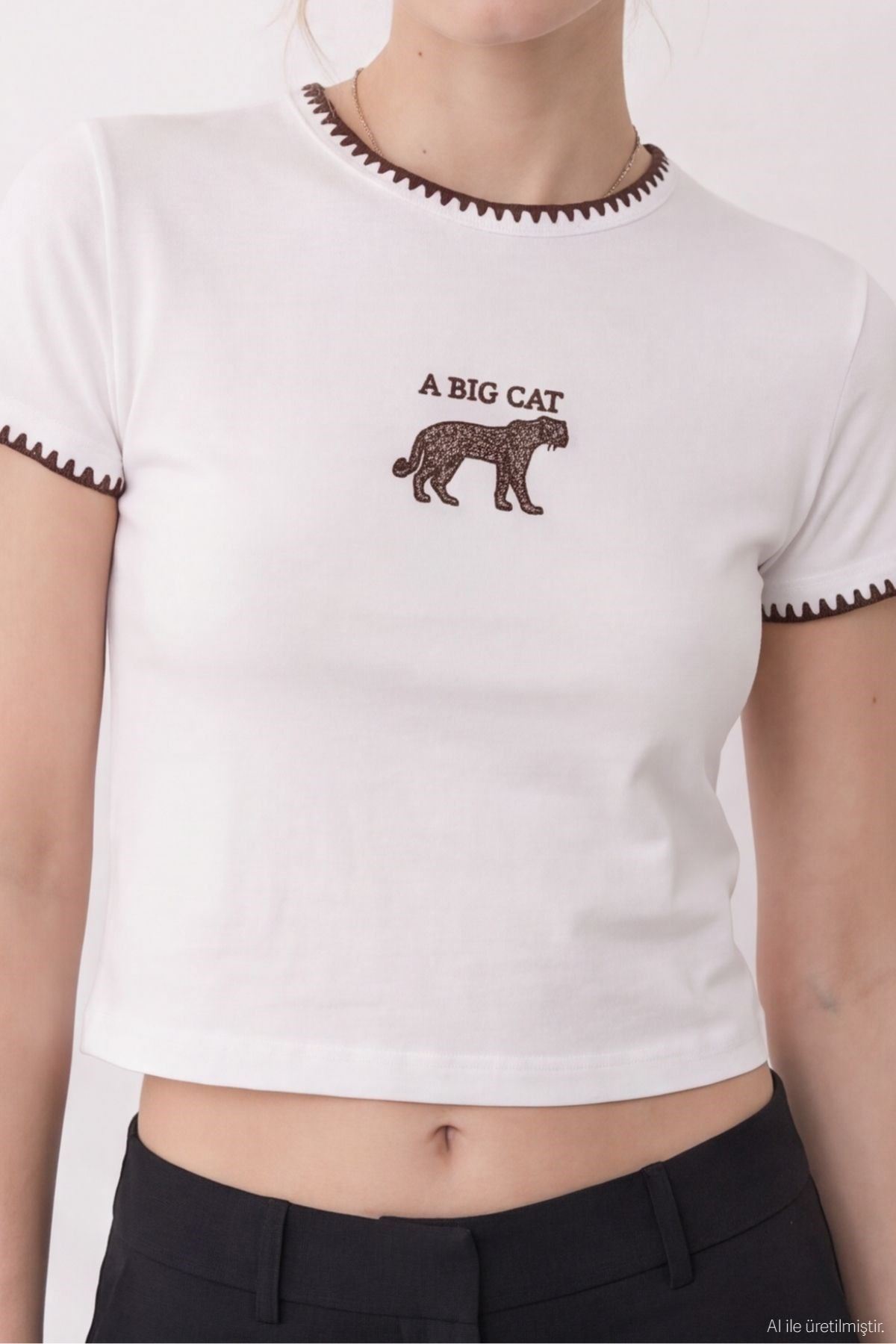Quzu Nakış Detaylı T-shirt Ekru