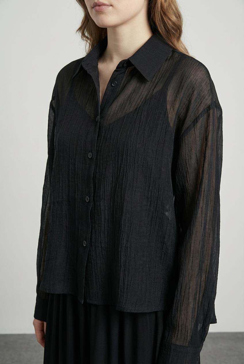 Quzu Uzun Kollu Transparan Gömlek Siyah