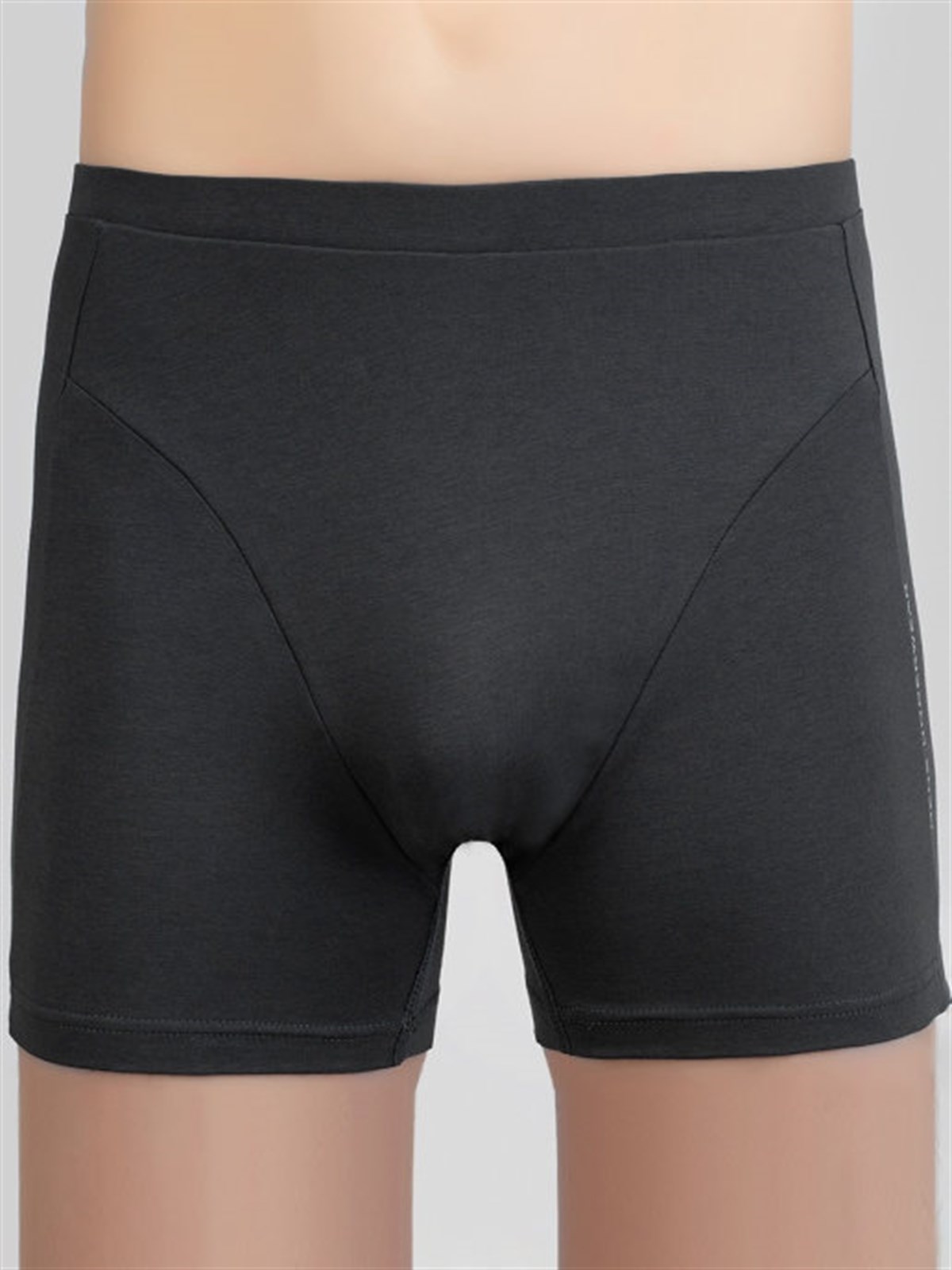 Baykar Erkek  Boxer 1223 Füme